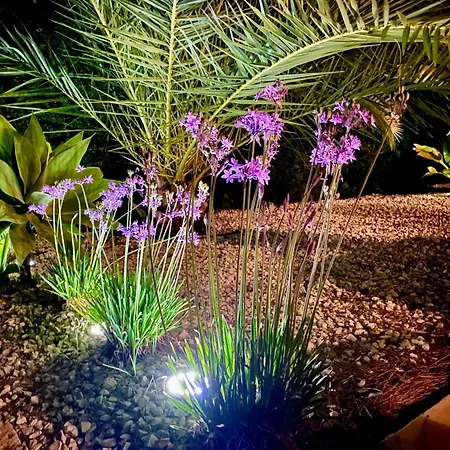 Casa El Olivo Holiday home Moraira